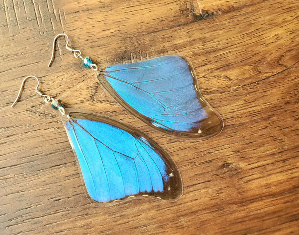 Real Blue Butterfly Wing Earrings, Blue Morpho Forwing Earrings