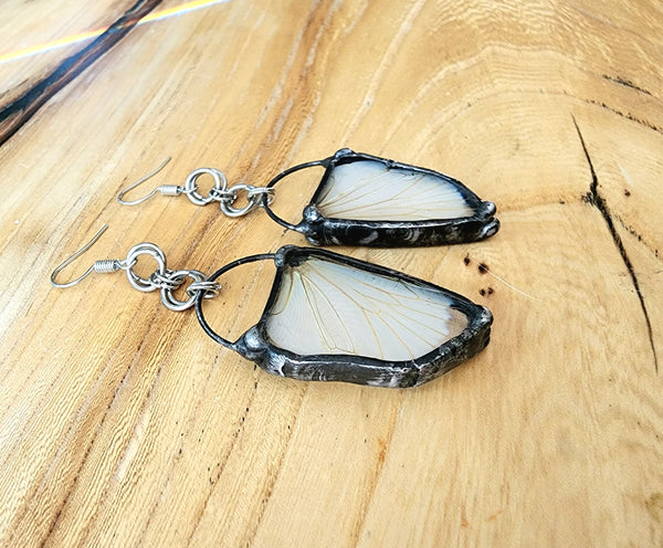 Cicada Wing Glass Earrings