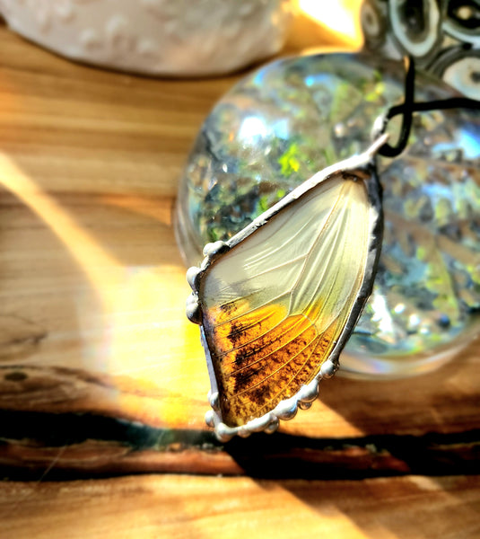 Orange Tip Butterfly Pendant